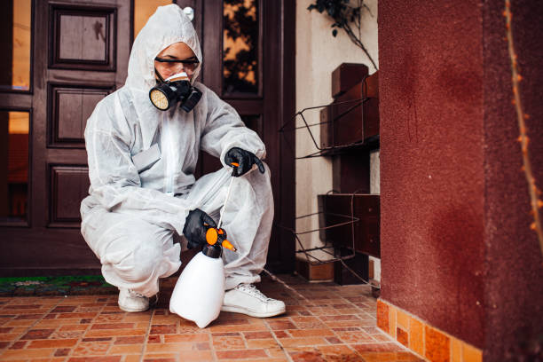 Reliable Cockroach Control contractor in Warrington, FL by Nex Pest Control